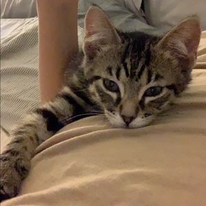 Meet your Posher, Reece